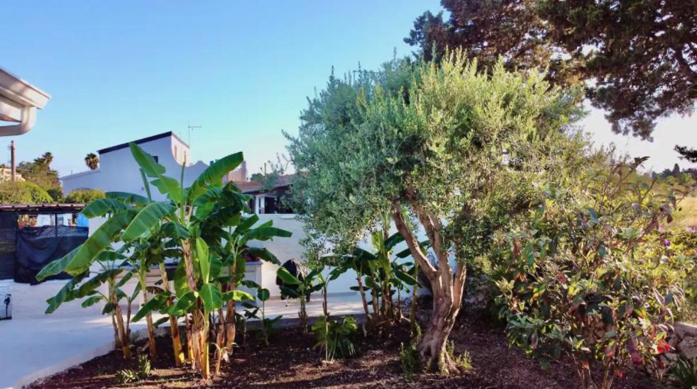 VILLA MARE BLUE SR Nuovissima Villa 150m dal mare adatta a bambini Terrauzza Esterno foto